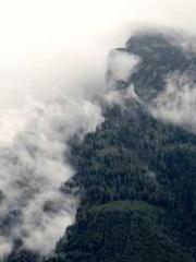 Dangerously Close to