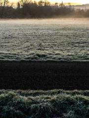 lt;Natural Disasters