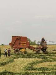 Falling for You: The