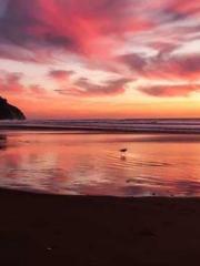 Becoming a solitary 