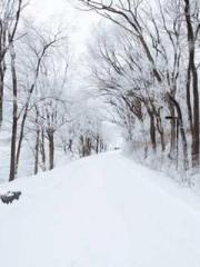 Qi is thin, but I be