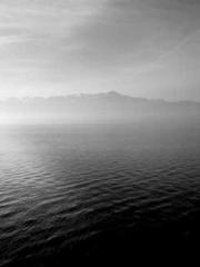 The Best Little Body