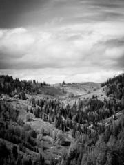 lt;The misfortune of