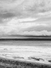 A Lifetime of Captiv