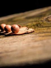 Love and him lt;lt;l