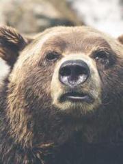 Rong Zhao, male, Nin