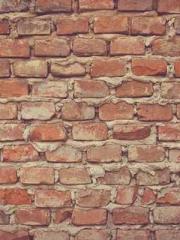 Rebirth as a Court A