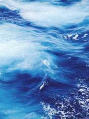 Professor Yan is goi