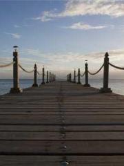 Grave Robbing: Openi