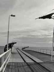 My pets are all amaz