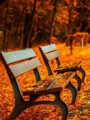 The Hardships of a D