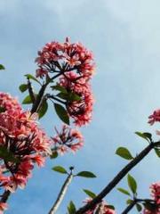 lt;lt;The Trash Husb