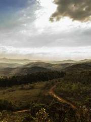 The Daring Wife of a