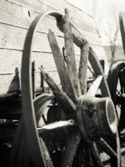 lt;Honor calls for N