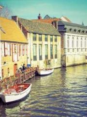 The Daring Wife of a