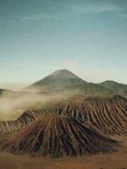 The young masterapos