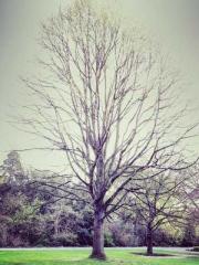 My pets are all amaz