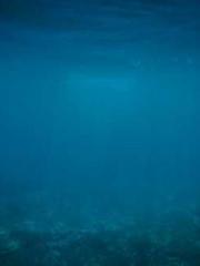 lt;The misfortune of