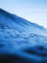 My seven stunning an