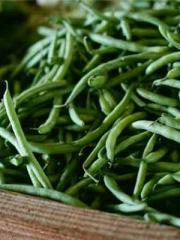 My husband is the Ki