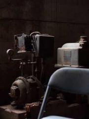 The Daring Wife of a