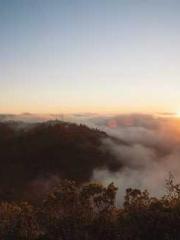 Rebirth of the Super