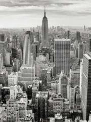 One Night of Indulge