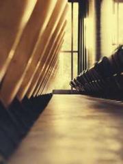 My pets are all amaz