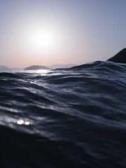 Lin Feng Lin Yun Yao