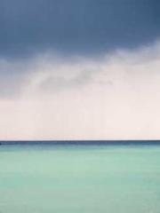 A Lifetime of Captiv