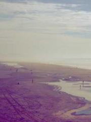 Rebirth of the Urban